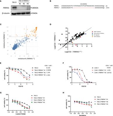 PBRM1 Deficiency Sensitizes Renal Cancer Cells to DNMT Inhibitor 5-Fluoro-2’-Deoxycytidine